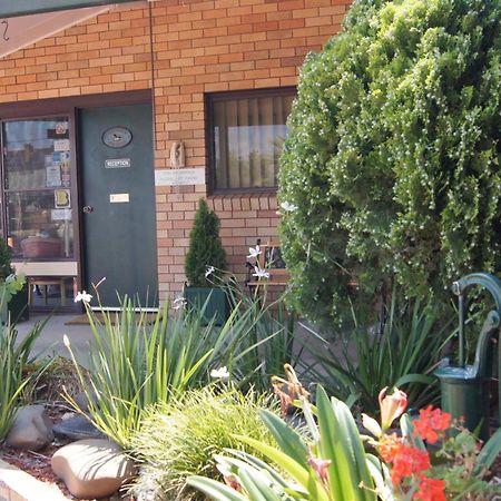 Ningana Motel Mudgee Exterior foto
