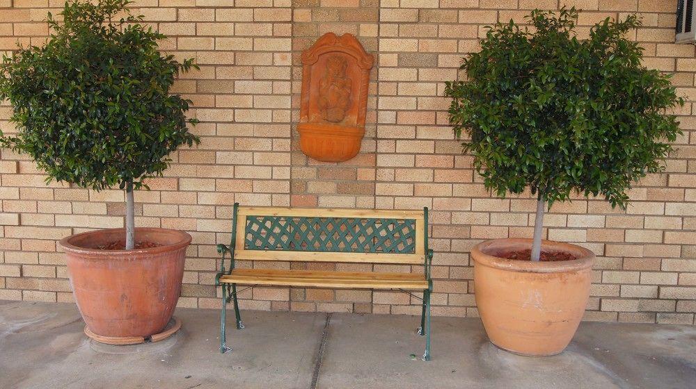 Ningana Motel Mudgee Exterior foto